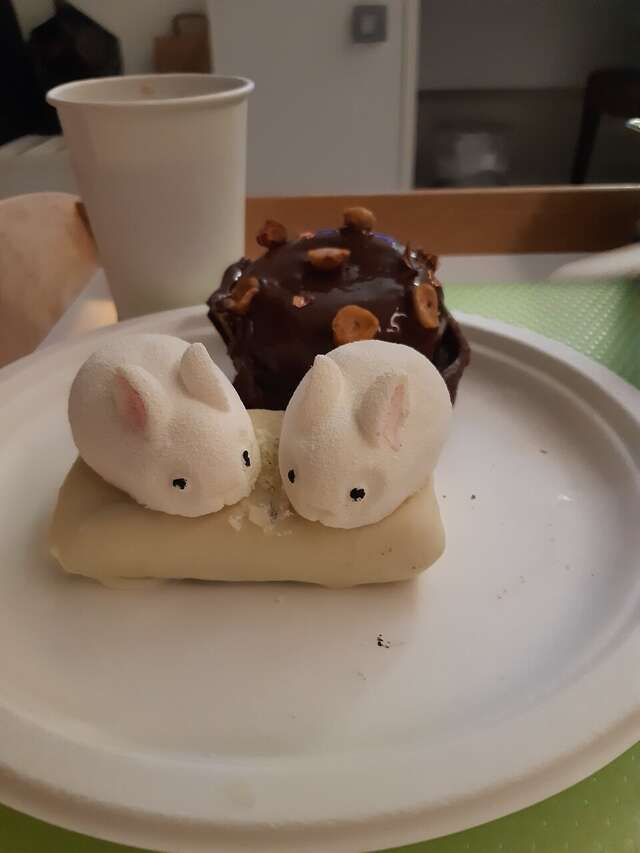 Гостиница Далиси Санкт-Петербург-41